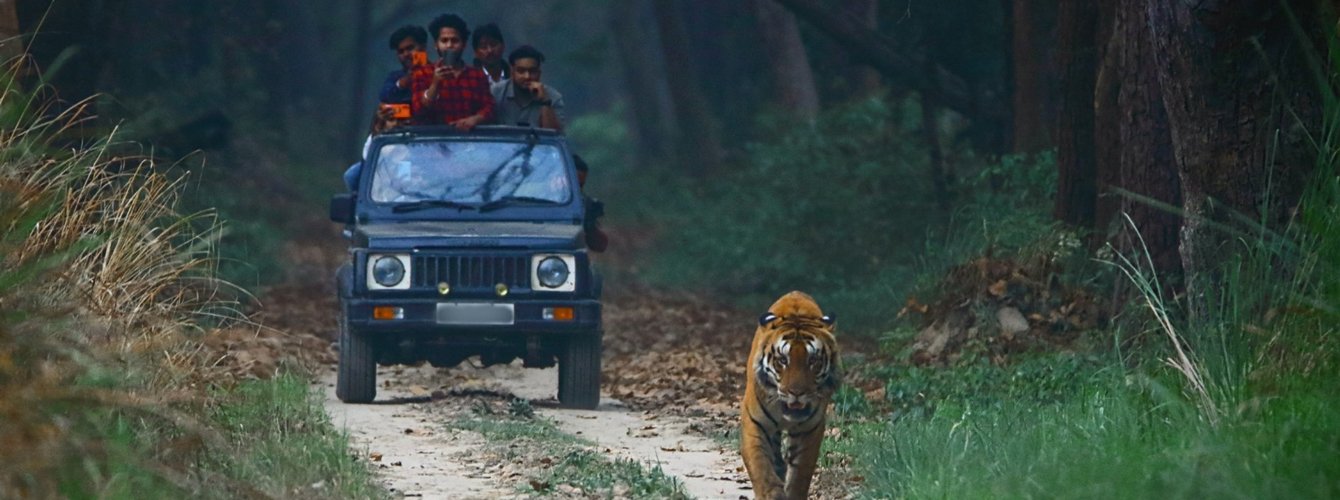 Safari Vehicle