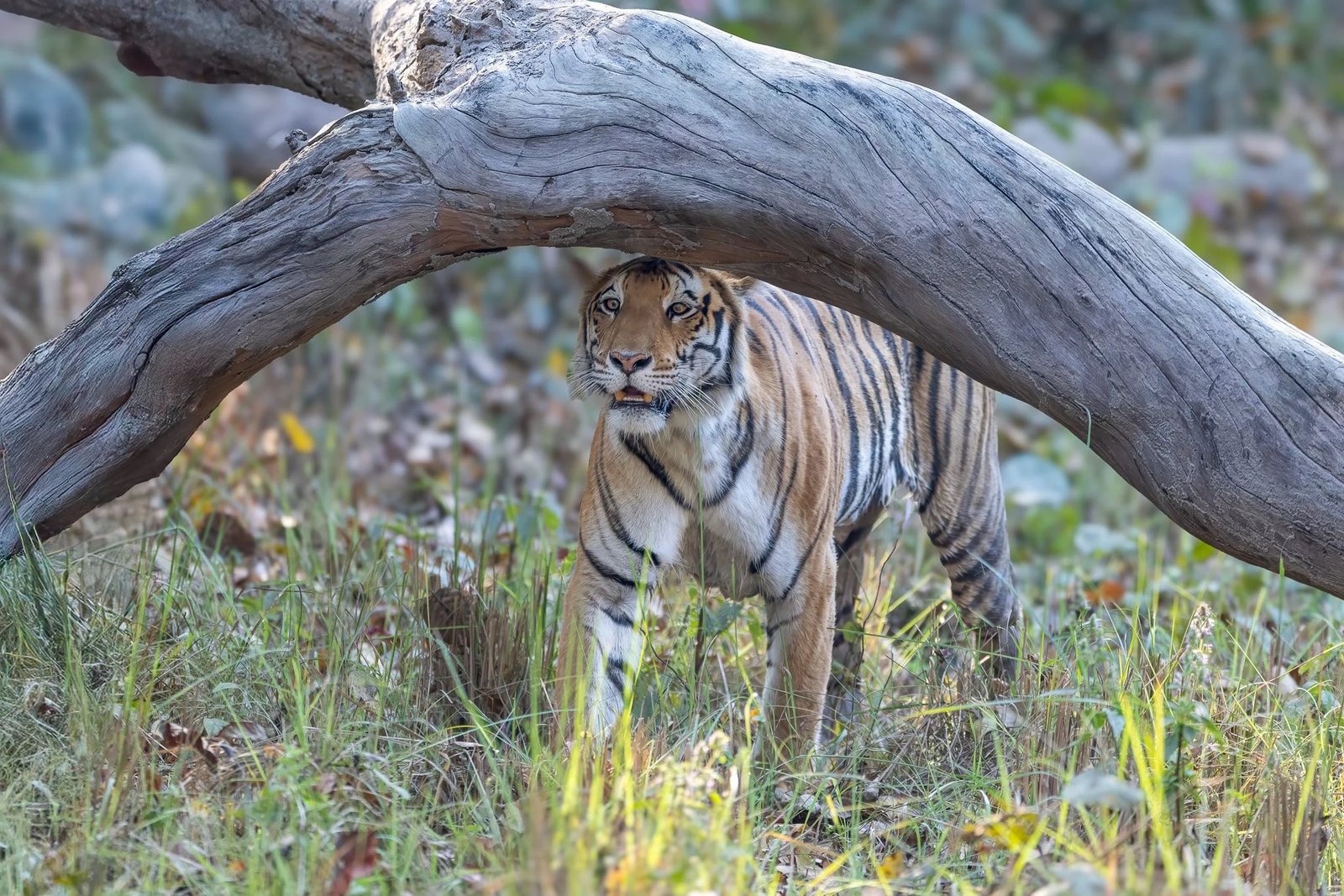 Photography Expeditions